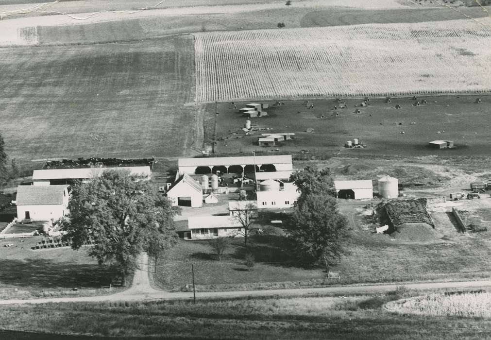 Taylor, Marcia, Iowa, Iowa History, Barns, Farms, Aerial Shots, history of Iowa, silage, grain bin, IA, pasture