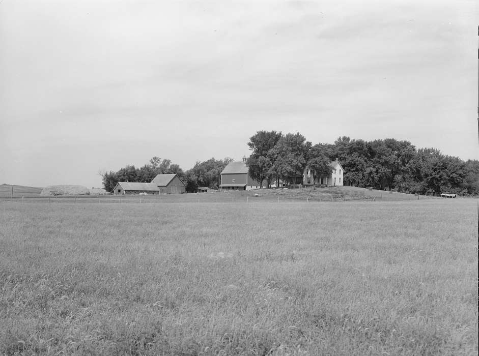 garden, homestead, Farms, sheep, history of Iowa, chicken, hay mound, Iowa History, Library of Congress, farmhouse, Iowa, barnyard, Barns, trees, Homes, red barn, sheds, Animals, Landscapes