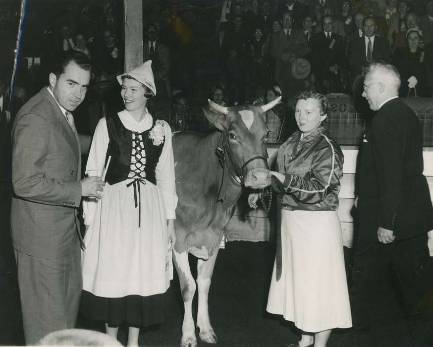 cow, Black Hawk, suit, IA, history, historic, cattle, heifer, corsage, Iowa, girls, Animals, ia, horns, adult man, United States, Waterloo, Photos, cattle congress, brown swiss cow, costume, audience, Fairs and Festivals, national cattle congress, Grout Museum of History and Science