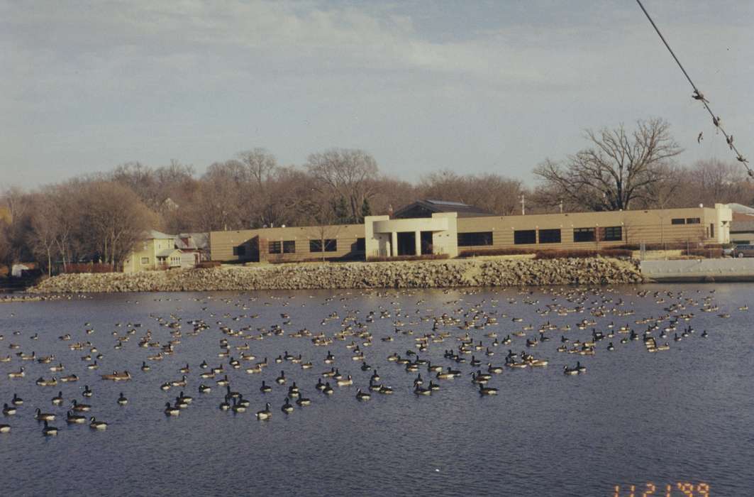lake, history of Iowa, Waverly Public Library, Animals, Iowa, Iowa History, Landscapes, pond, geese