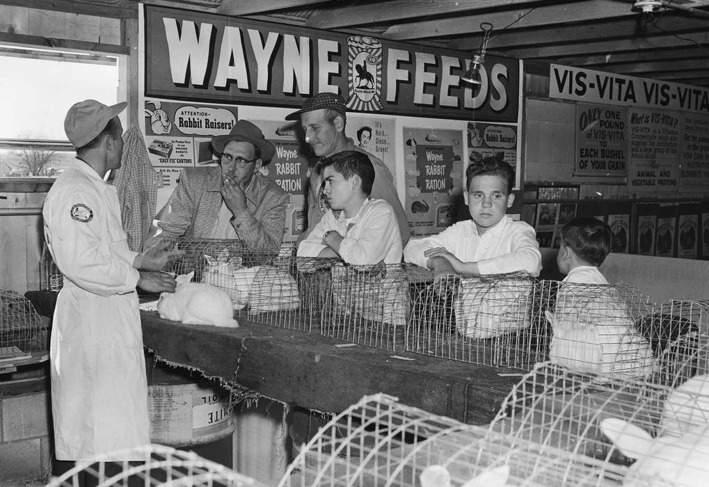 Farming Equipment, Coon Rapids, Photos, Coon Rapids Enterprise, history, ia, IA, Fairs and Festivals, Businesses and Factories, rabbit, Iowa, Labor and Occupations, historic, United States