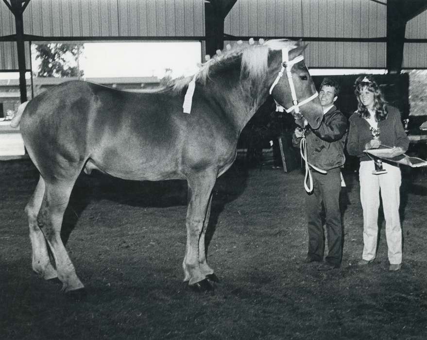 Animals, man, Photos, history, ia, Civic Engagement, historic, man and woman, horse, trophy, Iowa, Farms, woman, national cattle congress, cattle congress, IA, Black Hawk, Waterloo, Fairs and Festivals, Grout Museum of History and Science, United States