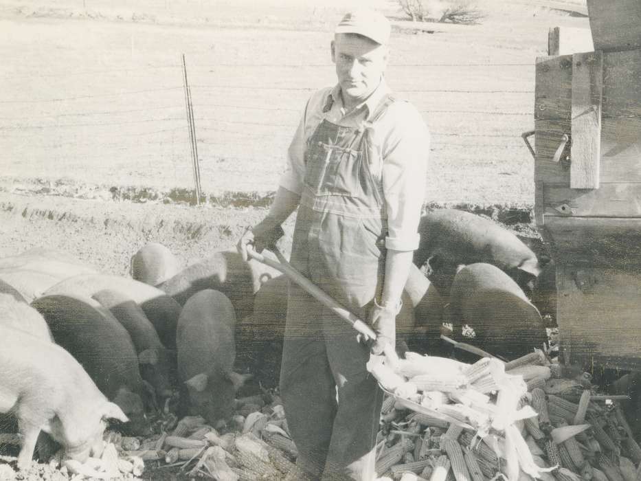 Labor and Occupations, Farms, pig, cap, Portraits - Individual, Iowa, ia, coveralls, corn, fence, history, historic, Coon Rapids Enterprise, Animals, farmer, shovel, Farming Equipment, Photos