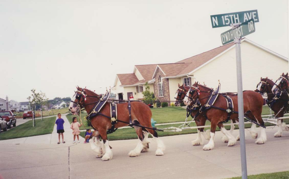 Entertainment, clydesdale, parade, suburb, history of Iowa, Iowa History, Cities and Towns, Iowa, horse, Fairs and Festivals, Hiawatha, IA, Theis, Virginia, Leisure, Children, Animals