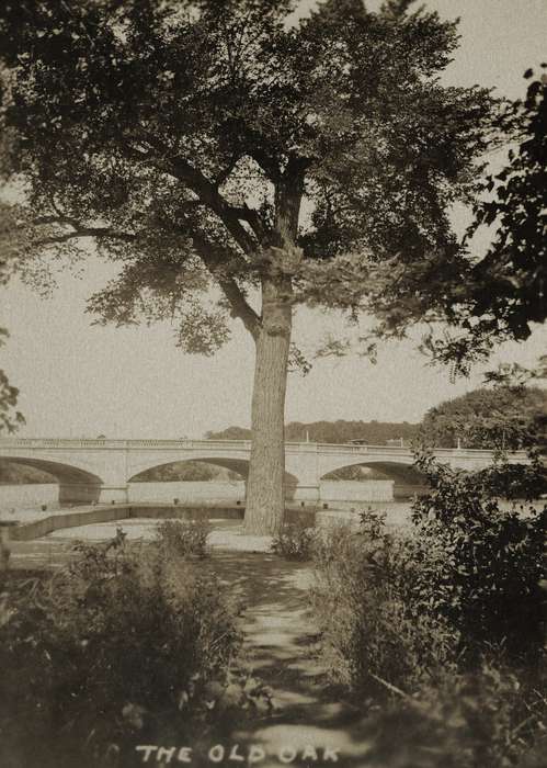 historic, ia, Cedar Falls, bridge, United States, park, City of Cedar Falls, Photos, Black Hawk, history, IA, Iowa, dirt path, tree, Lakes, Rivers, and Streams, Landscapes