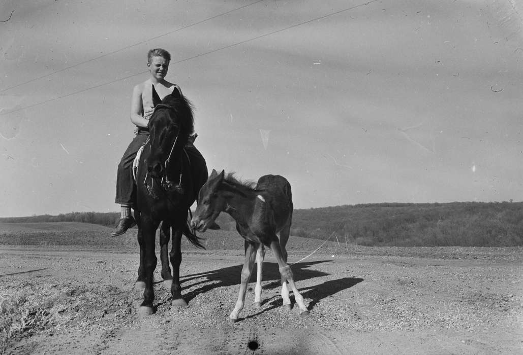Portraits - Individual, Iowa, IA, United States, horse, Photos, historic, Coon Rapids, boy, horse riding, history, Animals, ia, Coon Rapids Enterprise, foal, horses