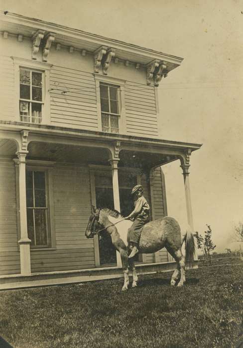 Stater, Connie, Animals, history of Iowa, Iowa, Iowa History, horse, Farms, Cincinnati, IA