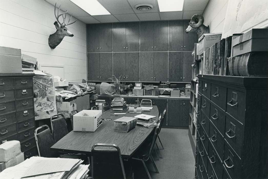 museum, deer head mounted, Cedar Falls, IA, University of Northern Iowa Museum, Iowa History, Schools and Education, uni, filing cabinet, history of Iowa, office, chair, university of northern iowa, table, Labor and Occupations, Iowa, taxidermy