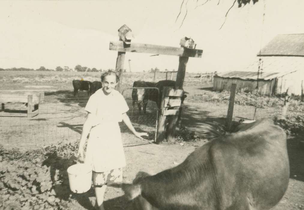 Animals, cow, cattle, Iowa History, history of Iowa, Stater, Connie, Portraits - Individual, Cincinnati, IA, Iowa