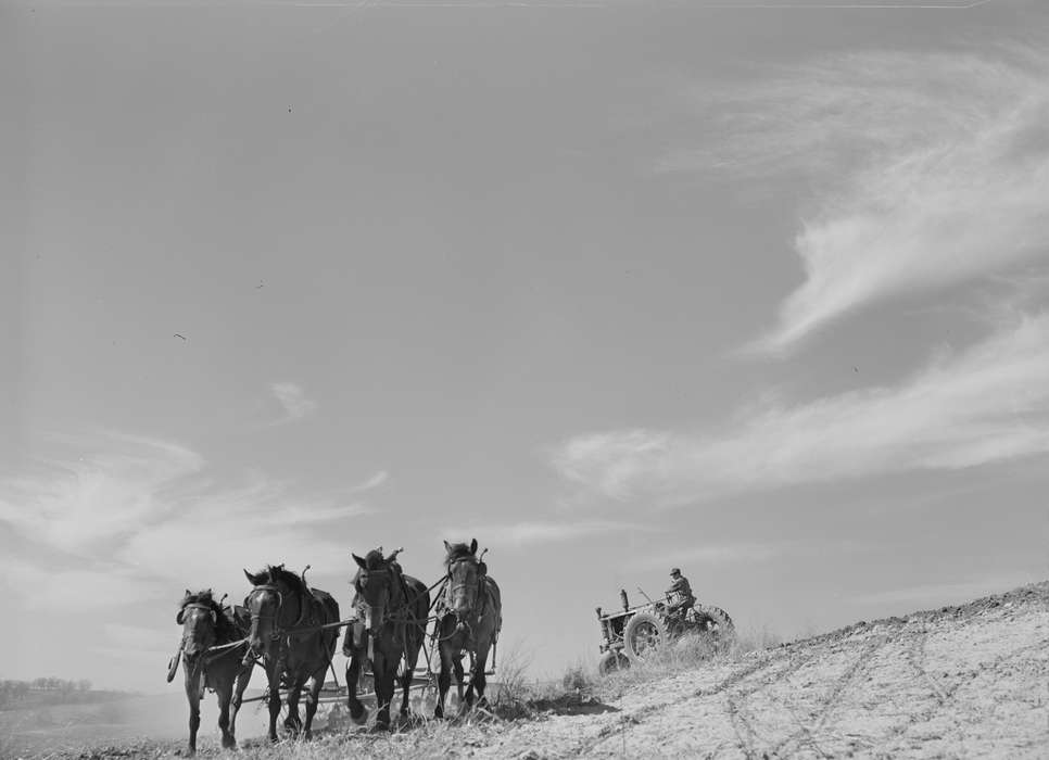 Farming Equipment, horse drawn, Iowa History, Labor and Occupations, Animals, Motorized Vehicles, plowing, tractor, history of Iowa, Iowa, horses, Library of Congress, farmer