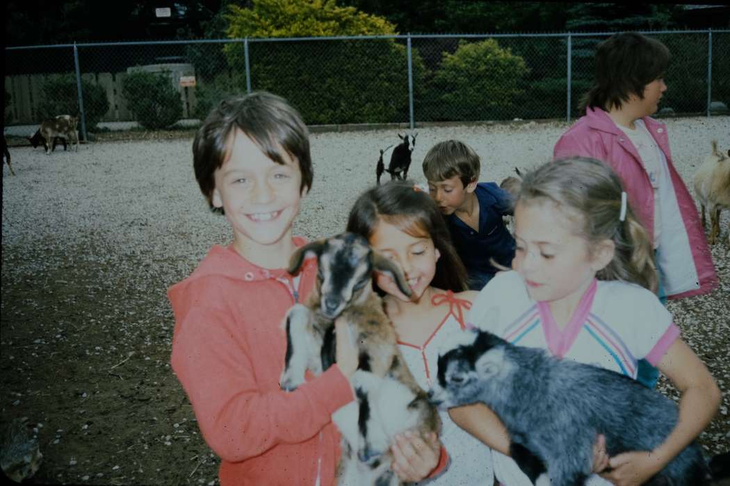 school trip, petting zoo, Photos, Children, ia, United States, Animals, missouri trip, Iowa, history, goat, Coon Rapids Enterprise, second grade missouri trip, MO, historic, Portraits - Group, Schools and Education