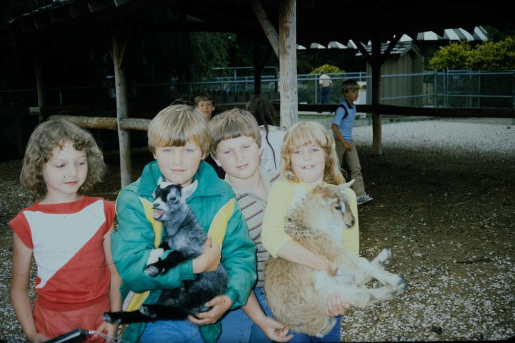 school trip, petting zoo, Photos, Children, ia, United States, Animals, missouri trip, Iowa, history, goat, Coon Rapids Enterprise, second grade missouri trip, MO, historic, Portraits - Group, Schools and Education