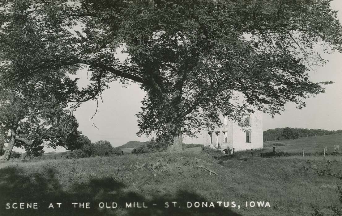 Palczewski, Catherine, Iowa History, St. Donatus, IA, field, mill, tree, Iowa, Businesses and Factories, history of Iowa