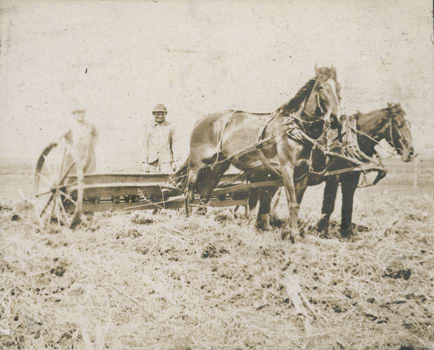Farming Equipment, Animals, history of Iowa, Iowa, Iowa History, Portraits - Group, IA, horse, Neessen, Ben, Farms, feild