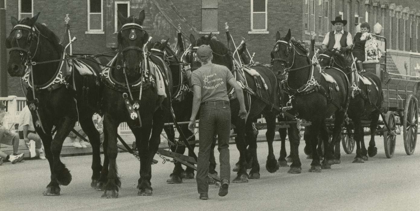 horse, history of Iowa, dog, horse drawn wagon, Waverly Public Library, Entertainment, parade, Fairs and Festivals, Waverly, IA, Iowa, Iowa History, Animals, percheron
