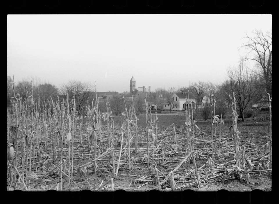 Farms, corn, Iowa History, crops, Iowa, history of Iowa, autumn, cornstalk, Library of Congress, Cities and Towns