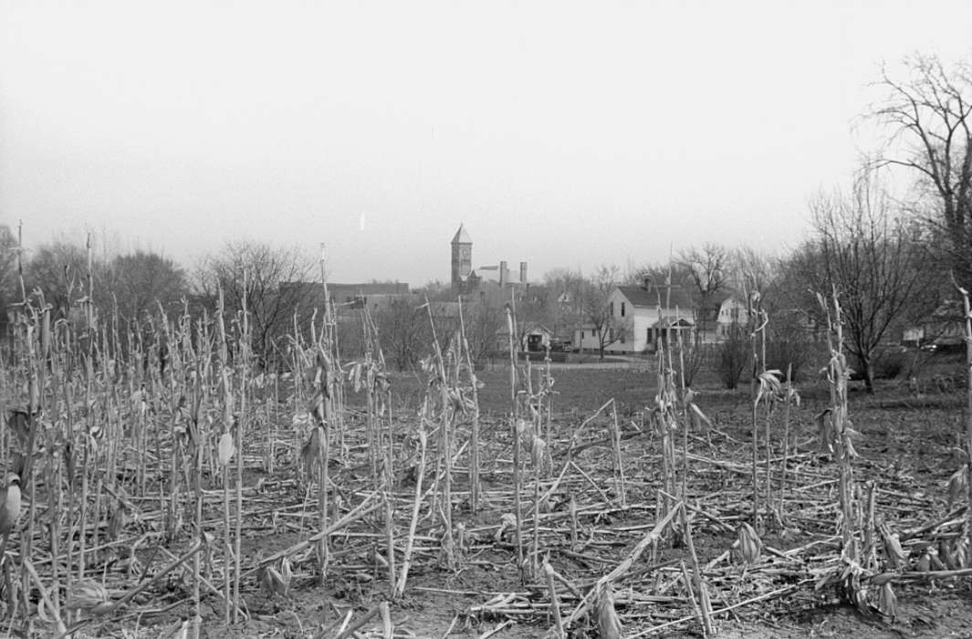 Farms, Library of Congress, Cities and Towns, Iowa History, cornstalk, history of Iowa, crops, Iowa, autumn, corn