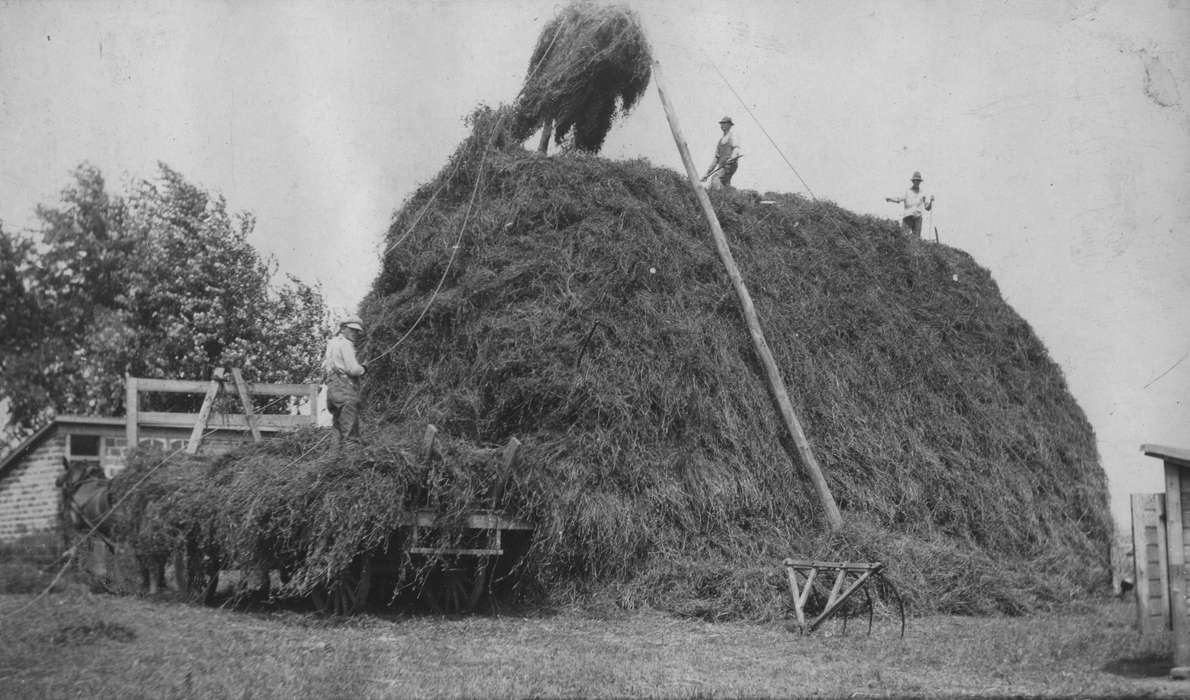 hay, Farming Equipment, Farms, King, Tom and Kay, Iowa History, Iowa, history of Iowa, IA