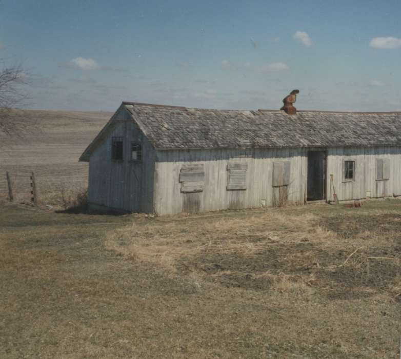 Farms, chicken coop, Barns, Powers, Janice, history of Iowa, Iowa History, Iowa, Central City, IA