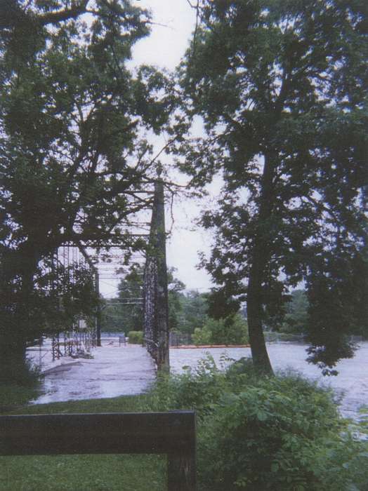tree, Floods, Lakes, Rivers, and Streams, bridge, Iowa History, river, Hatcher, Cecilia, Anamosa, IA, Iowa, history of Iowa, water, grass