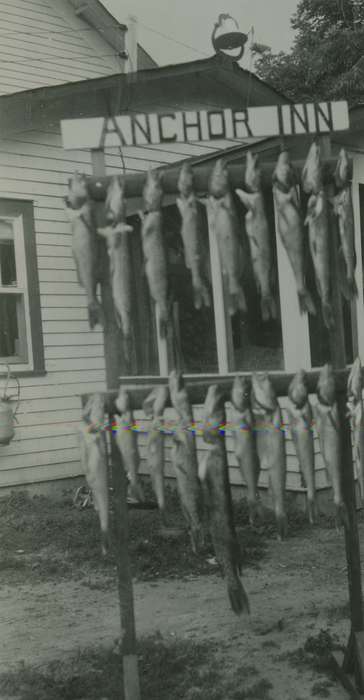 Animals, Iowa History, fish, history of Iowa, fishing, Elderkin, Don, Spring Lake, MN, Iowa
