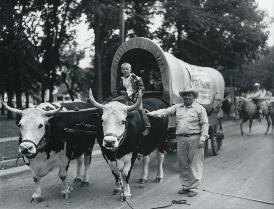 Waverly Public Library, parade, covered wagon, boy, Animals, history of Iowa, Iowa, Children, Iowa History, Entertainment, Portraits - Group, horse, oxen, cowboy hat