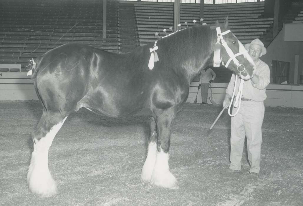 Farming Equipment, Animals, man, Photos, history, ia, Civic Engagement, Fairs and Festivals, horse, historic, Iowa, Farms, national cattle congress, cattle congress, IA, Portraits - Individual, Barns, Black Hawk, Waterloo, ribbon, Grout Museum of History and Science, United States