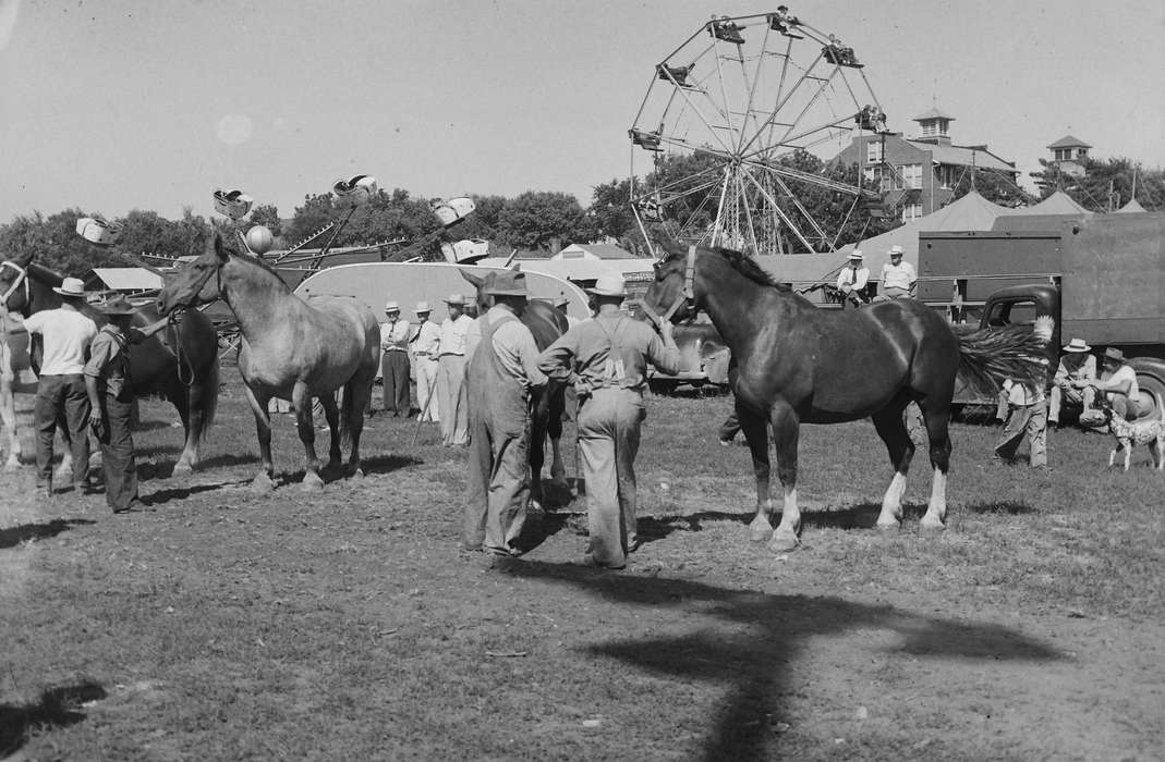 United States, history, ferris wheel, ia, horse, Photos, Animals, Coon Rapids Enterprise, county fair, horses, rides, Iowa, IA, Fairs and Festivals, historic, dog, Coon Rapids