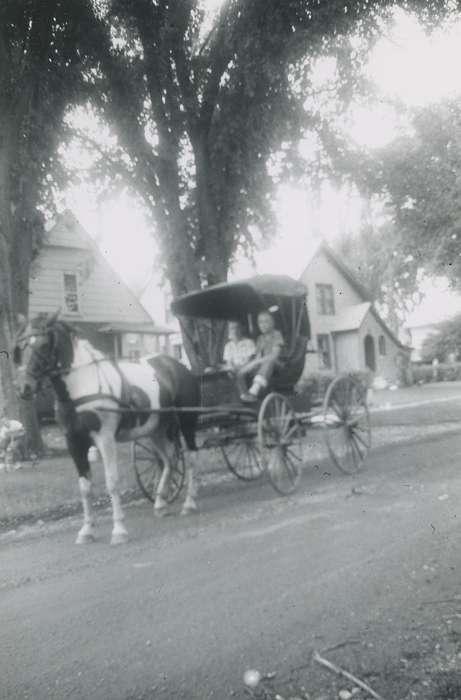 Cities and Towns, Zischke, Ward, Homes, Animals, correct date needed, american paint horse, Iowa History, horse and buggy, Families, Portraits - Group, Iowa, history of Iowa, teenager, boy, Children
