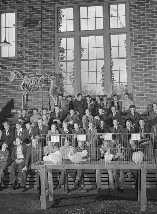 skeleton, hat, chickens, Library of Congress, Iowa, chicken, brick, Iowa History, history of Iowa, Animals, suit, Schools and Education, Farms, Cities and Towns, Children, window, tie