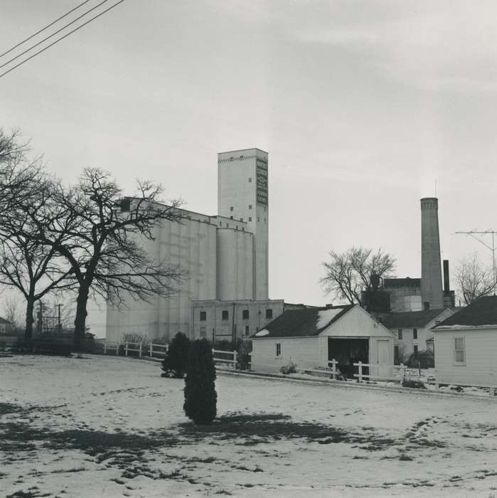 grain elevator, Businesses and Factories, history of Iowa, snow, fence, tree, sign, Waverly Public Library, Iowa, Waverly, IA, Iowa History, correct date needed, Landscapes, Winter