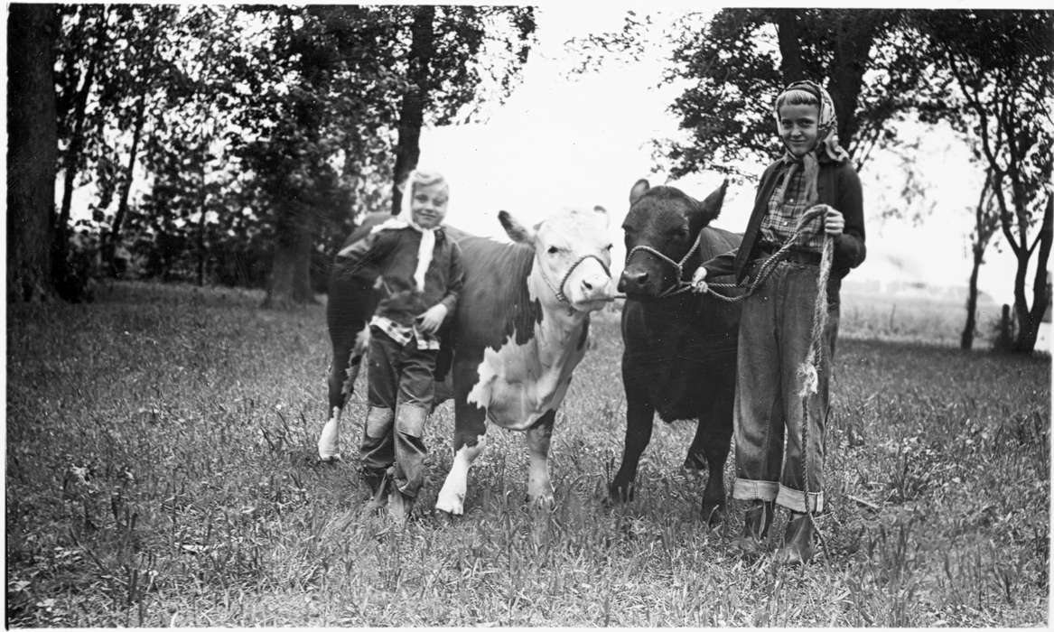 cow, girls, Animals, 4h, Outdoor Recreation, history of Iowa, rope, Children, calf, Iowa, Portraits - Group, calves, girl, Iowa History, Fuller, Steven, Dike, IA, 4-h