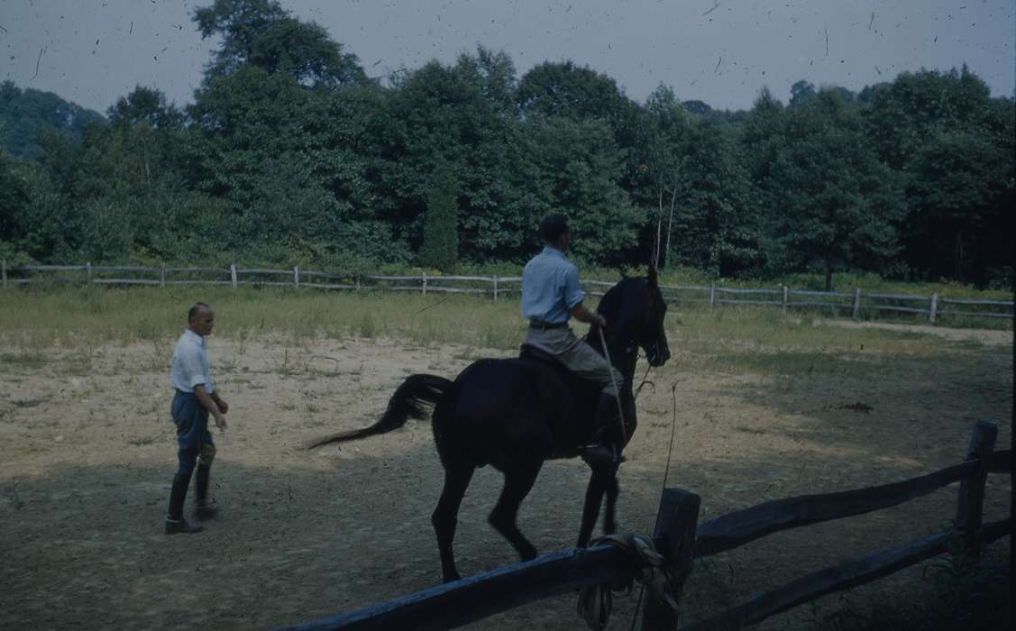 horse, Sack, Renata, horse riding, Iowa History, Iowa, history of Iowa, Outdoor Recreation, Animals, IA