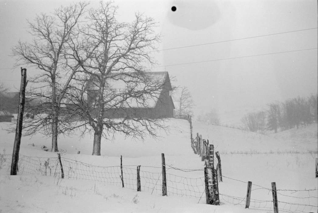 barn, Farms, Iowa, Landscapes, tree, Barns, snow, Library of Congress, fence, history of Iowa, Winter, Iowa History