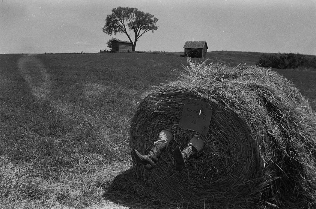 Farms, Coon Rapids Enterprise, Coon Rapids, Iowa, historic, tree, hay bale, United States, joke, ia, history, Photos, IA