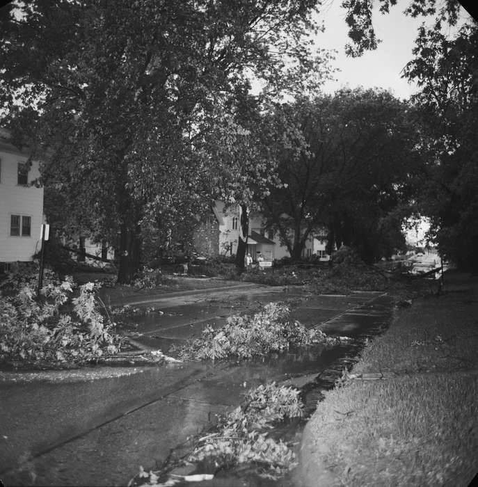 Iowa, IA, United States, Cities and Towns, Photos, tree branches, road, historic, Coon Rapids, history, branches, ia, Coon Rapids Enterprise, Severe Weather