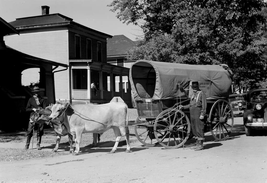 Lemberger, LeAnn, cattle, Iowa History, porch, history of Iowa, Fairfield, IA, Leisure, Motorized Vehicles, wagon, Animals, car, Iowa
