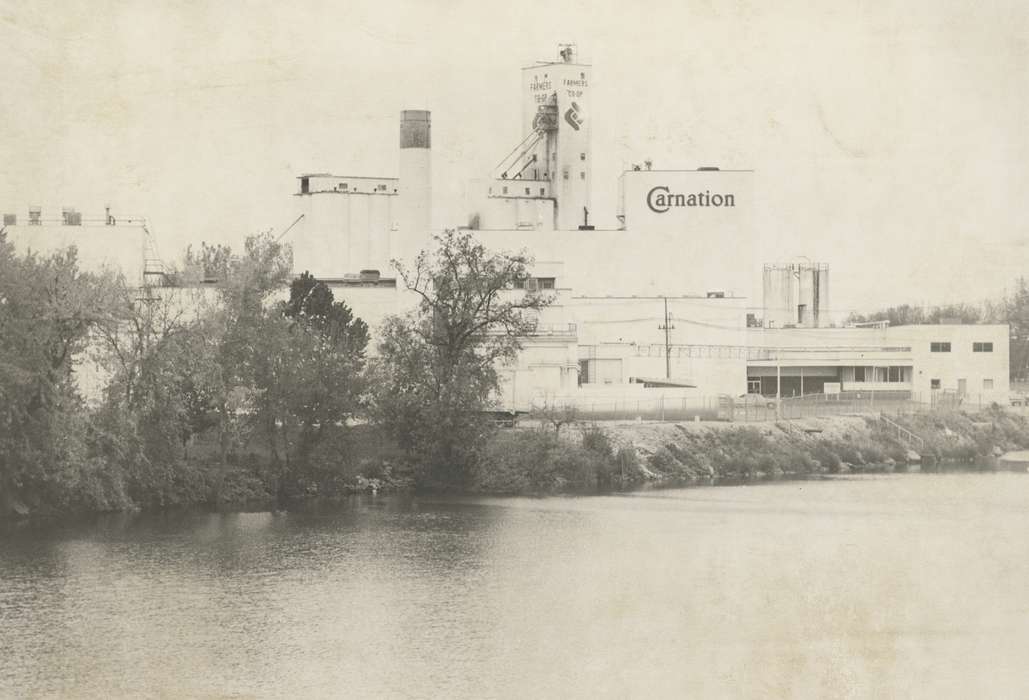 cedar river, tree, Waverly Public Library, Lakes, Rivers, and Streams, factory, Iowa History, carnation, river, Waverly, IA, correct date needed, Iowa, history of Iowa, Businesses and Factories