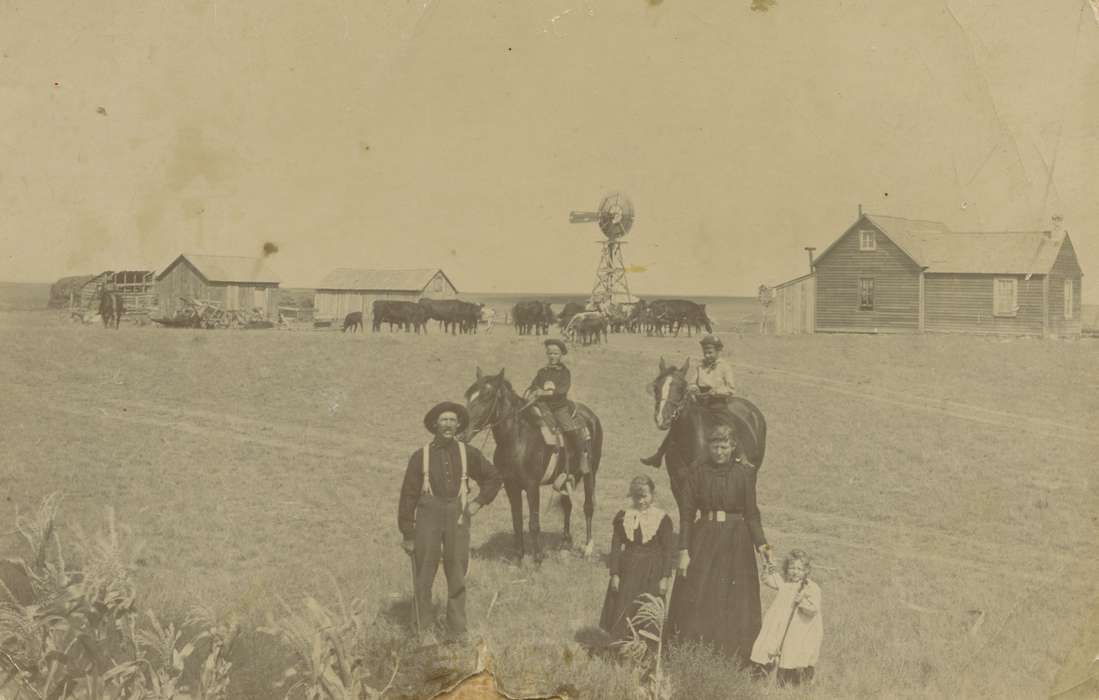 windmill, Children, Families, NE, horse, Sweeney, Rebecca, Portraits - Group, Farms, Animals, cattle, history of Iowa, Iowa History, Iowa