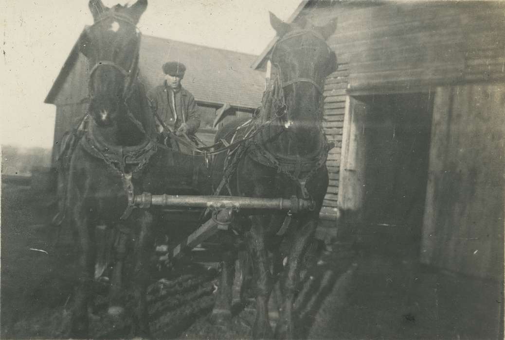 horse, Farming Equipment, Iowa History, Neessen, Ben, farmer, wagon, Barns, Animals, horse and cart, Iowa, history of Iowa, hat, IA