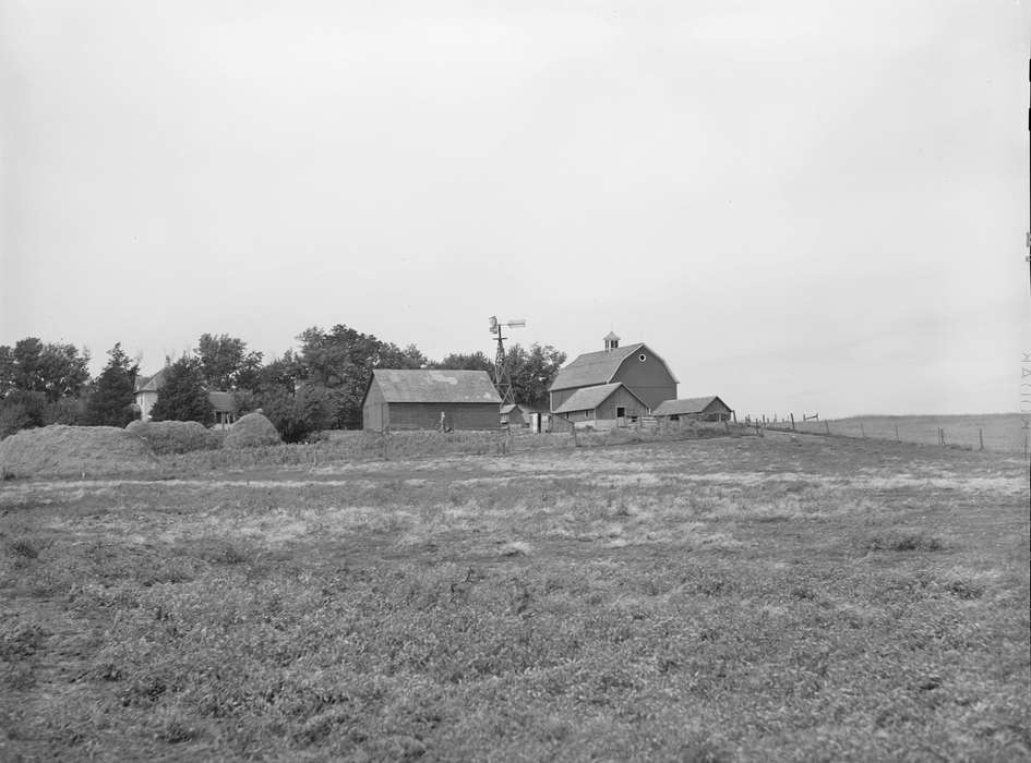 sheds, Iowa History, Barns, hay mound, Farms, farmhouse, Landscapes, Homes, history of Iowa, corn crib, windmill, red barn, barnyard, Iowa, Library of Congress, trees, pasture