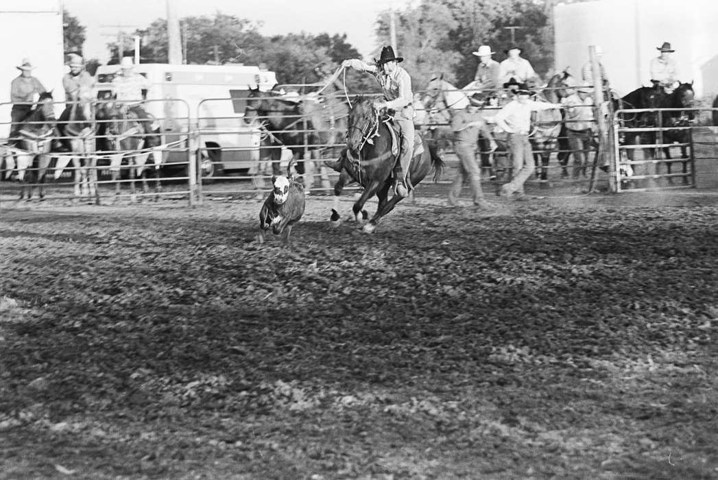 horse, Coon Rapids Enterprise, Coon Rapids, Outdoor Recreation, historic, cow, ia, Animals, rodeo, Entertainment, Iowa, cowboy hat, Fairs and Festivals, United States, cow catcher, history, Photos, IA