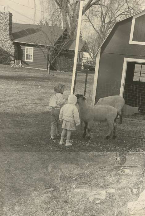 Barns, petting zoo, Animals, city park, correct date needed, lamb, Waverly Public Library, Iowa History, Waverly, IA, Iowa, Leisure, history of Iowa, Children