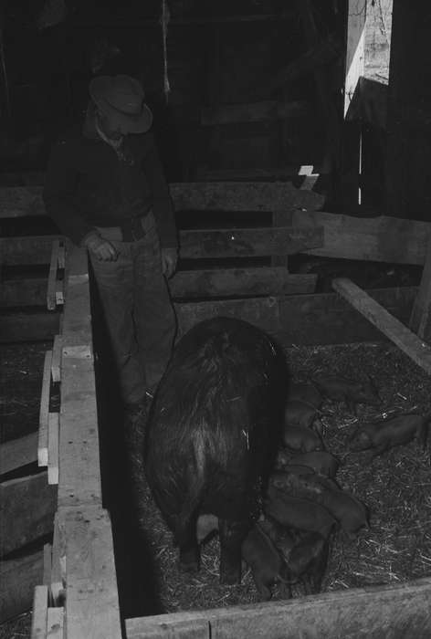 Coon Rapids Enterprise, United States, ia, IA, Coon Rapids, historic, Iowa, history, Animals, Photos