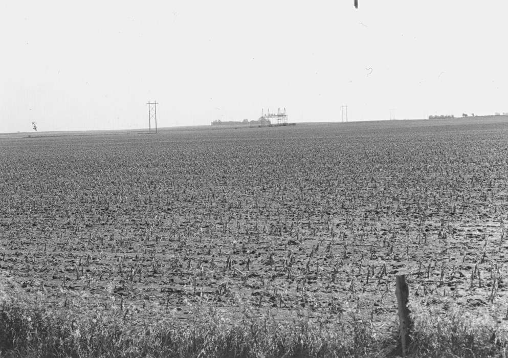 Farms, Fuller, Steven, field, Iowa History, Landscapes, Dike, IA, corn, Iowa, history of Iowa