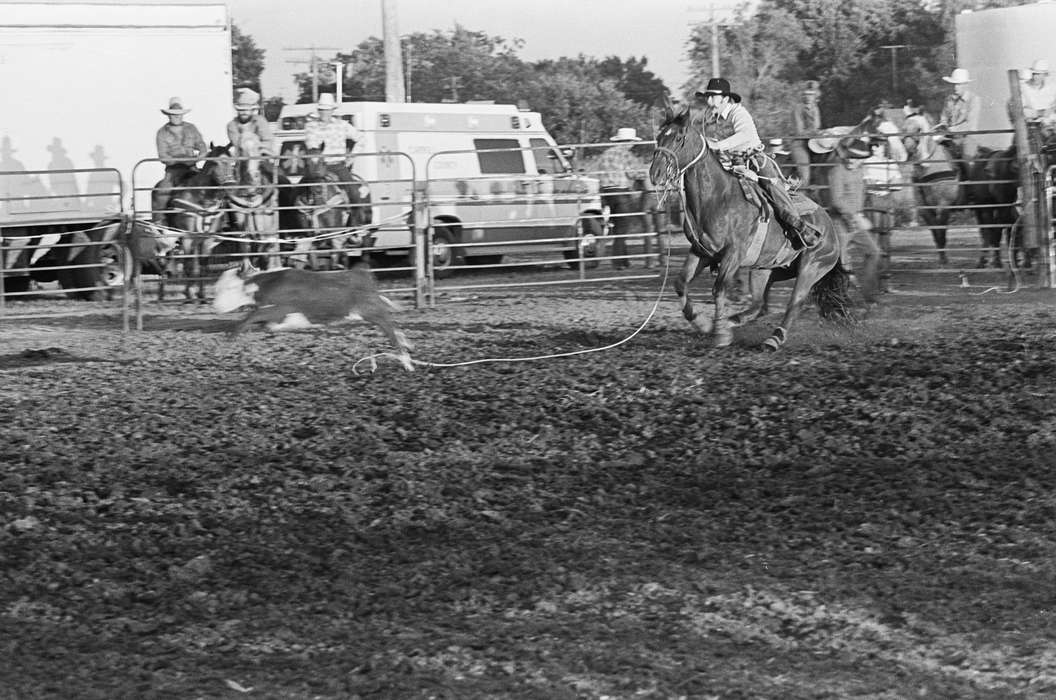 rodeo, Coon Rapids Enterprise, Entertainment, Coon Rapids, Outdoor Recreation, Iowa, cowboy hat, historic, Fairs and Festivals, United States, cow catcher, cow, IA, ia, history, Photos, Animals