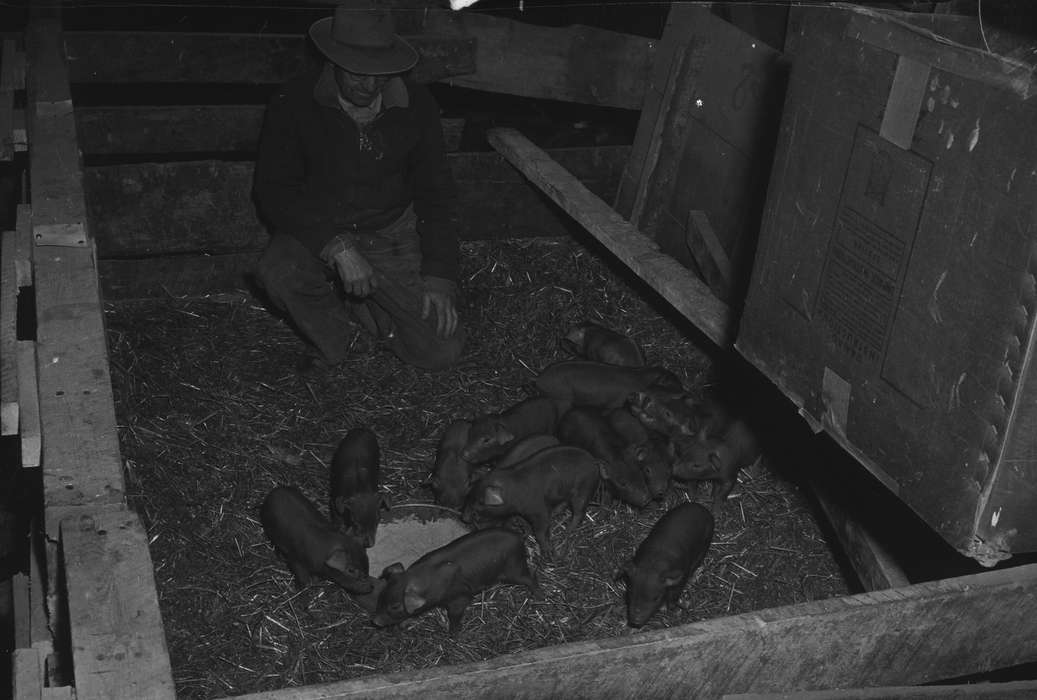 Coon Rapids Enterprise, United States, ia, IA, Coon Rapids, historic, Iowa, history, Animals, Photos