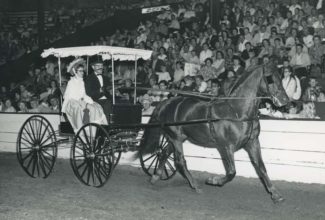 Animals, Entertainment, man, Photos, history, ia, historic, horse, audience, Iowa, mustache, woman, national cattle congress, cattle congress, buggy, IA, Black Hawk, Grout Museum of History and Science, Waterloo, Fairs and Festivals, horse and buggy, United States