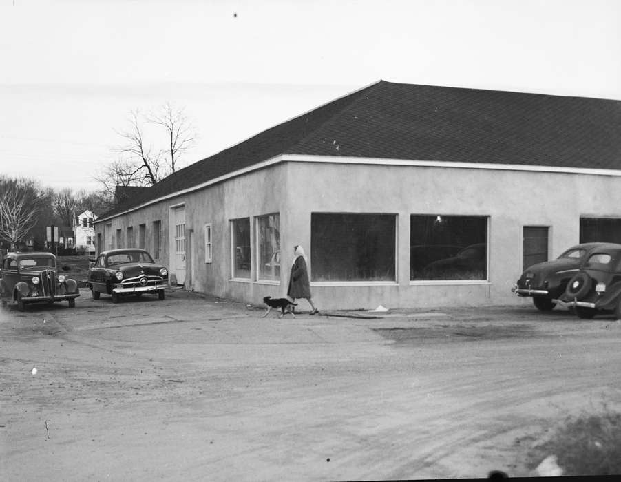 Iowa, IA, United States, Photos, historic, dog, Coon Rapids, history, walking, Animals, ia, Coon Rapids Enterprise, cars, Leisure