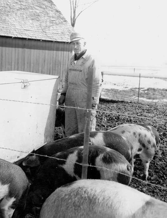 Dike, IA, Fuller, Steven, history of Iowa, Portraits - Individual, pig, pig pen, Iowa History, hat, Iowa, Animals, pigs, farmer, Farms, hog